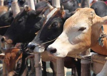 गोबर-धन योजना