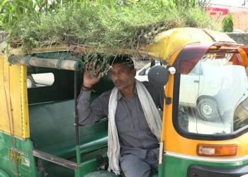 Garden on Auto Rickshaw