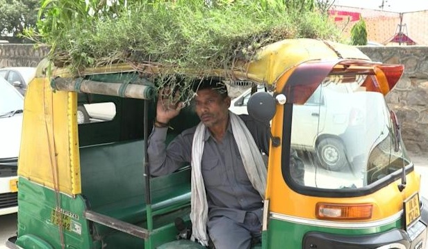 Garden on Auto Rickshaw
