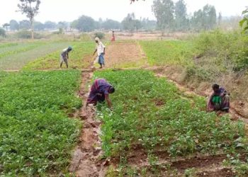 प्राकृतिक खेती