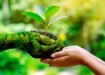 पर्यावरण