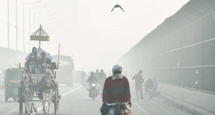 delhi cold wave