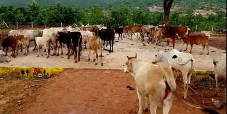 गोबरधन स्कीम