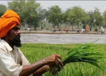 पंजाब किसान