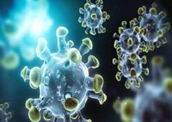 कोरोना युद्ध