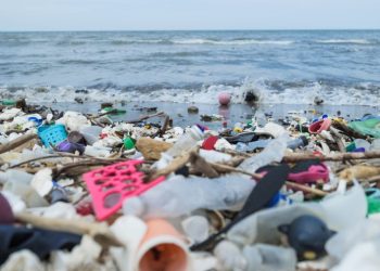 plastic pollution