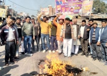 हिंदूवादी संगठन