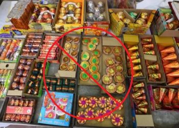 Firecrackers Ban In Delhi