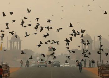 प्रदूषण की चपेट में पक्षी
