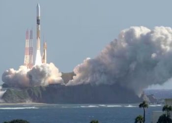 Cow dung fuels Japan