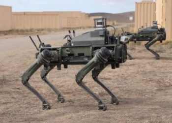 Robotic Dogs