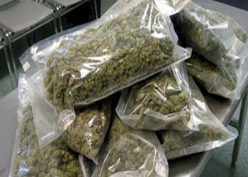 गांजे की तस्करी