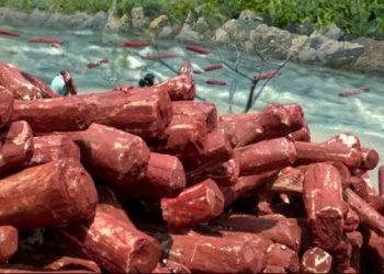 red sandalwood