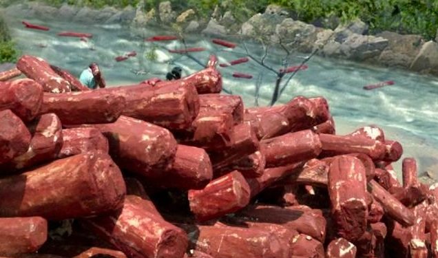 red sandalwood