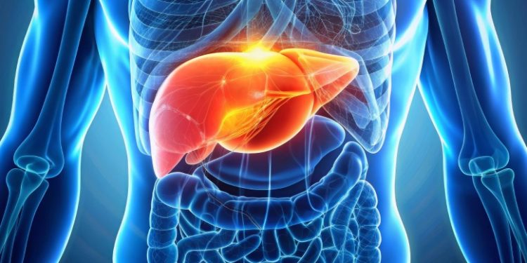fatty liver