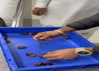 खजूर के अंदर सोना