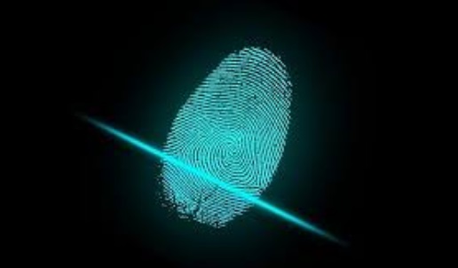fingerprint