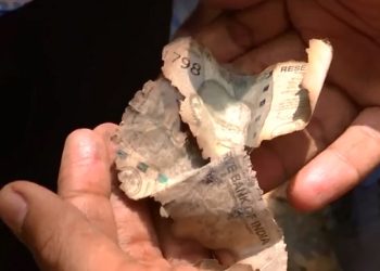 Judge of Delhi High Court