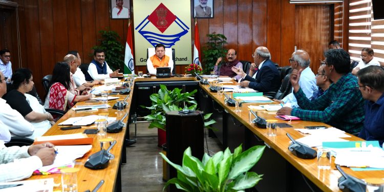 CM Dhami
