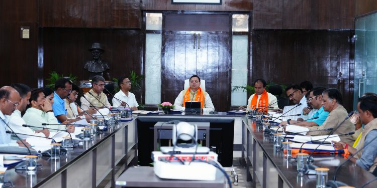 CM Dhami