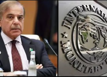 IMF gave $2.4 billion to Pakistan