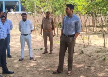 Life is incomplete without trees: Municipal Commissioner