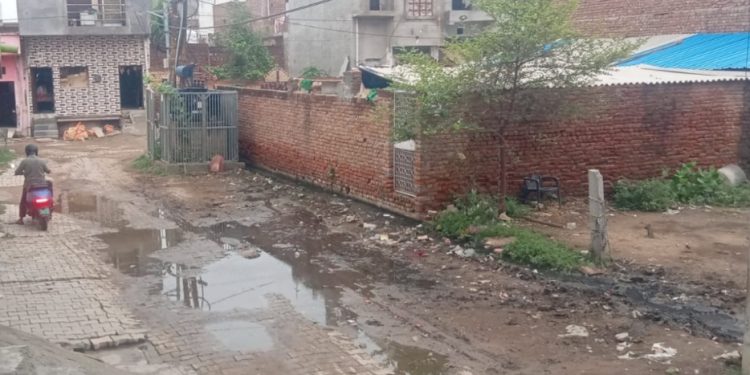 rain and waterlogging