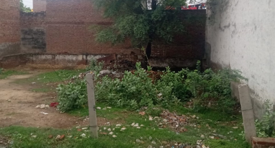 rain and waterlogging