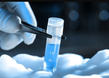 Sperm will be prepared in the lab