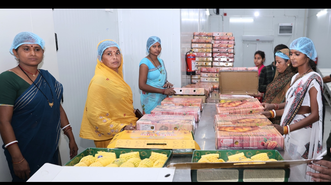 Chief Minister nitish