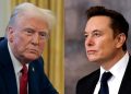 elon musk -trump