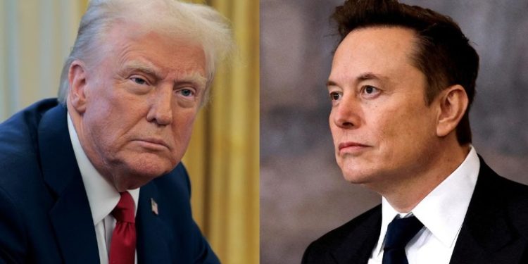 elon musk -trump