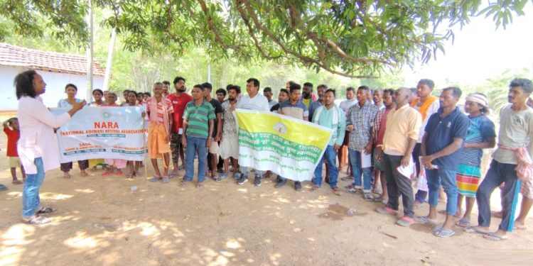 Tribal 'Ho' Society