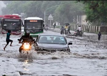 delhi