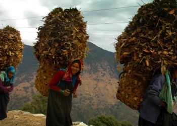 उत्तराखंड में पलायन