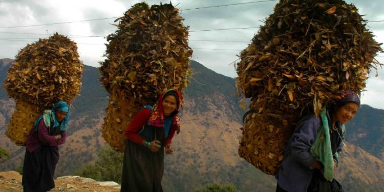 उत्तराखंड में पलायन