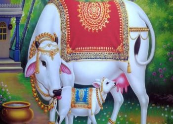 गोचर जमीन