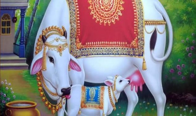 गोचर जमीन