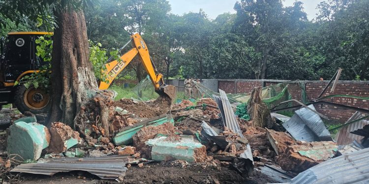 बुलडोजर