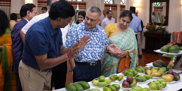 Air Force Mango Festival