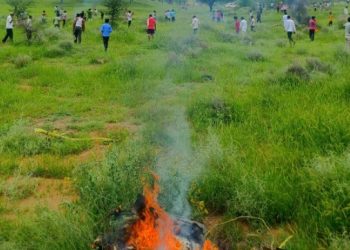 Air Force plane crashes