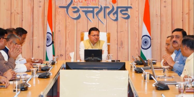 cm dhami cabinate