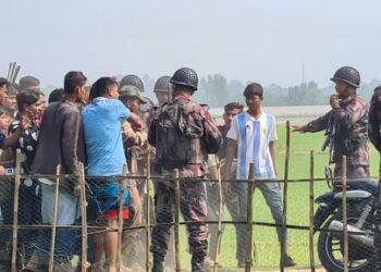 illegal bangladeshis bsf