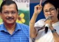 AAP-tmc