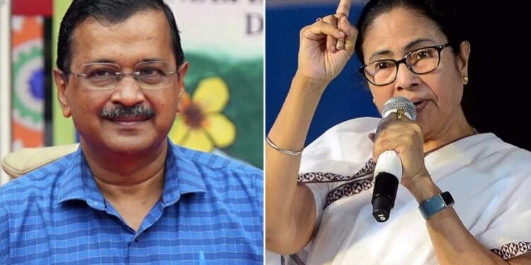 AAP-tmc