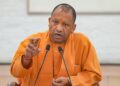 yogi