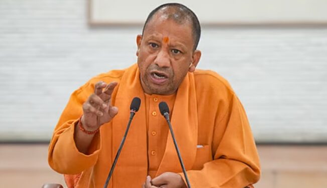 yogi