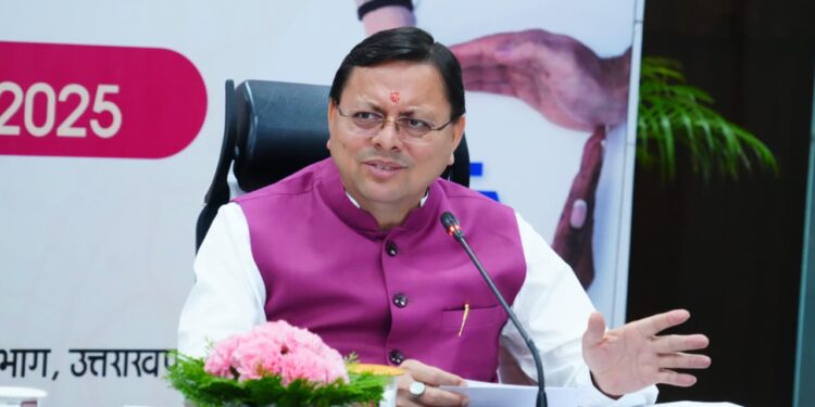 CM Dhami