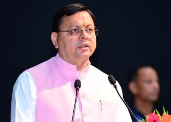 cm dhami