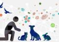 Zoonosis infection